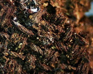An enlarged view of the weave of the shroud from the Hinnom Valley
